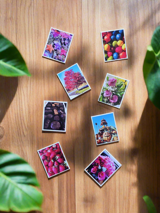 Medium Photo Magnets - Set of 6