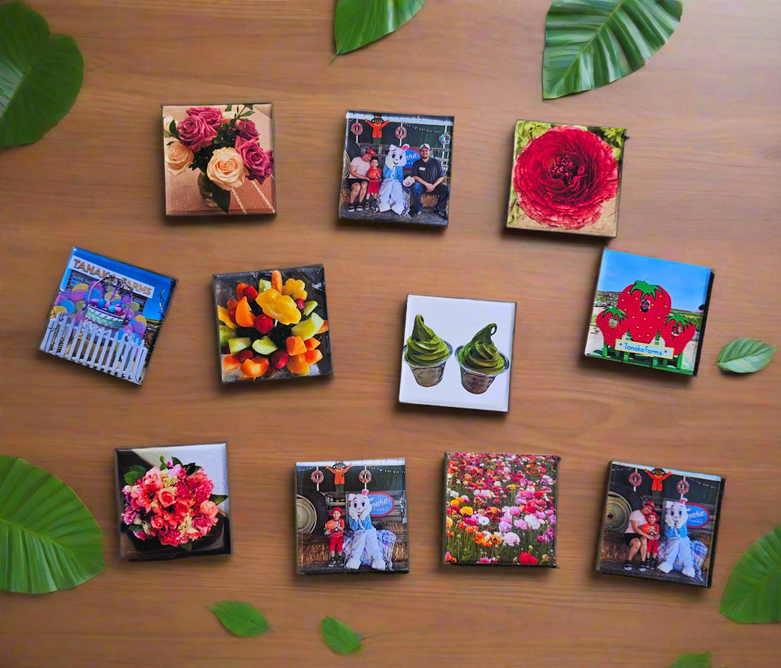 Custom Square or Round Magnets