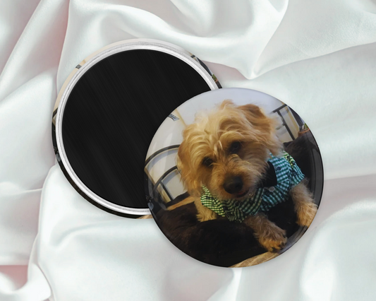 Custom 2.25" Round Magnets - Set of 6