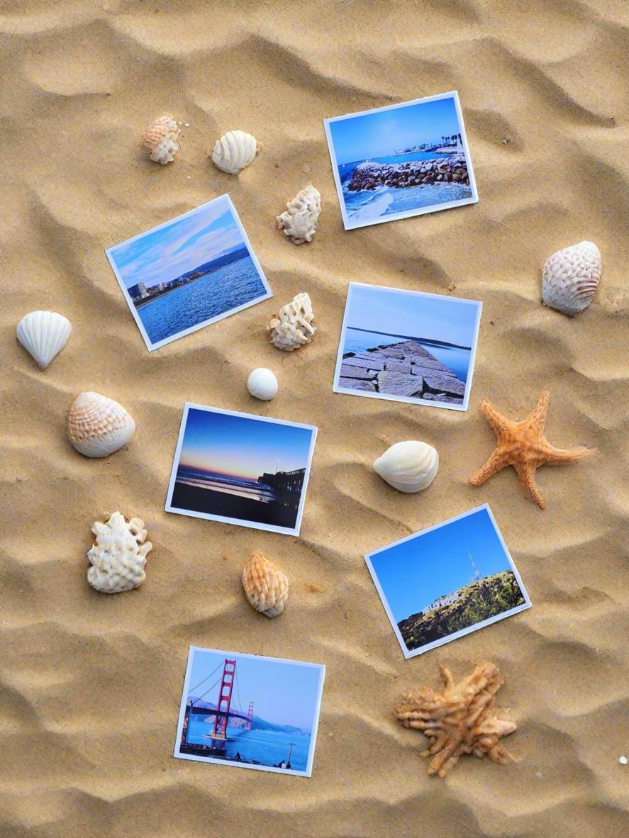 Large Photo Magnets - Set of 6