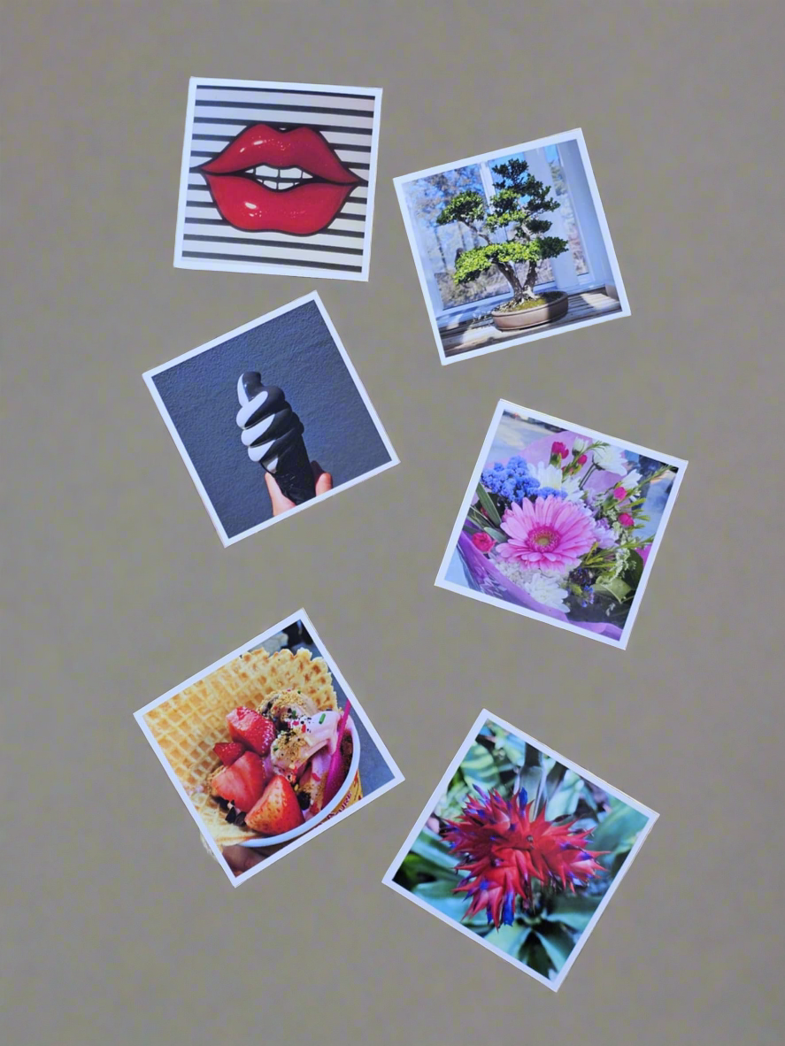 Small Photo Magnets - Set of 6