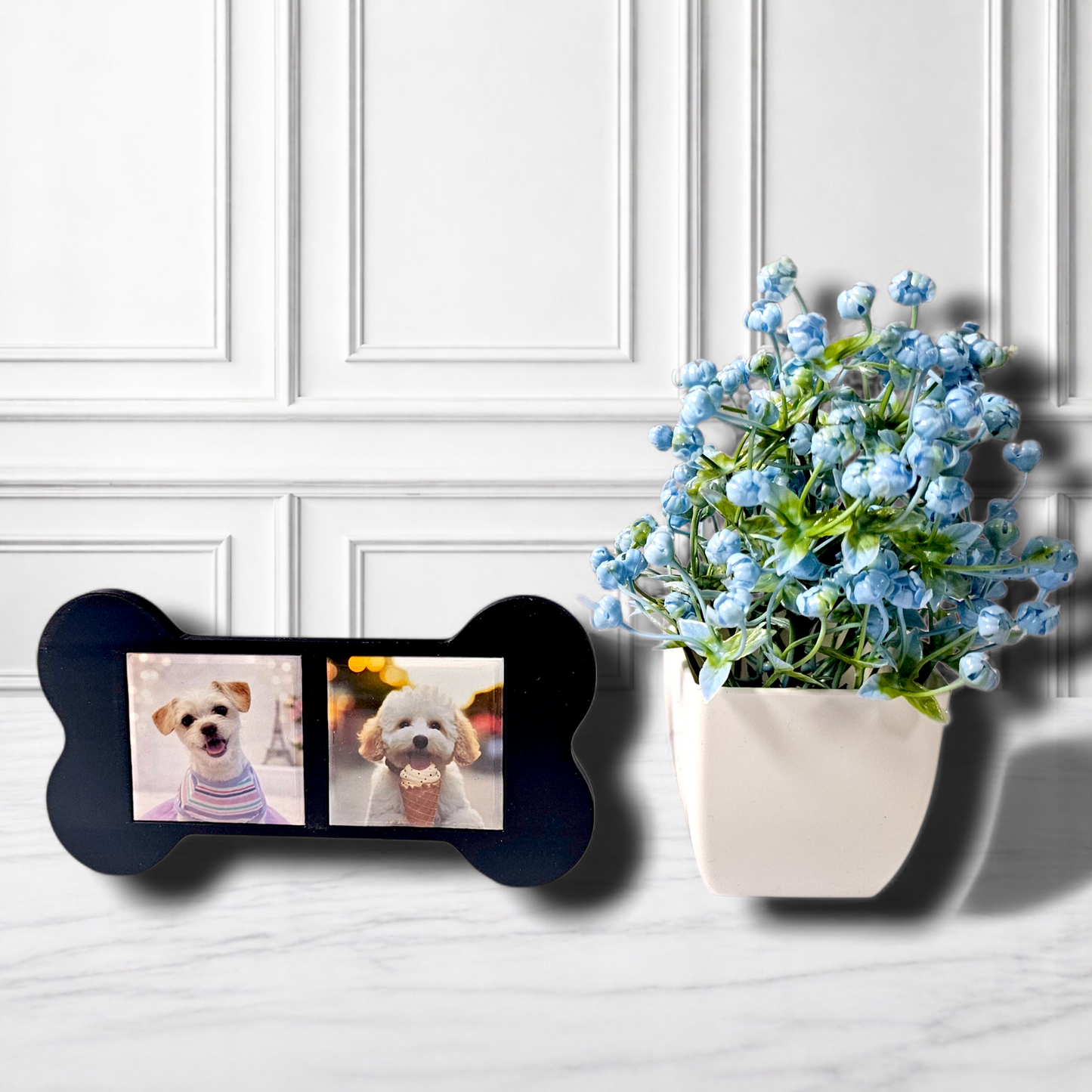Bone Frame - Square Magnets