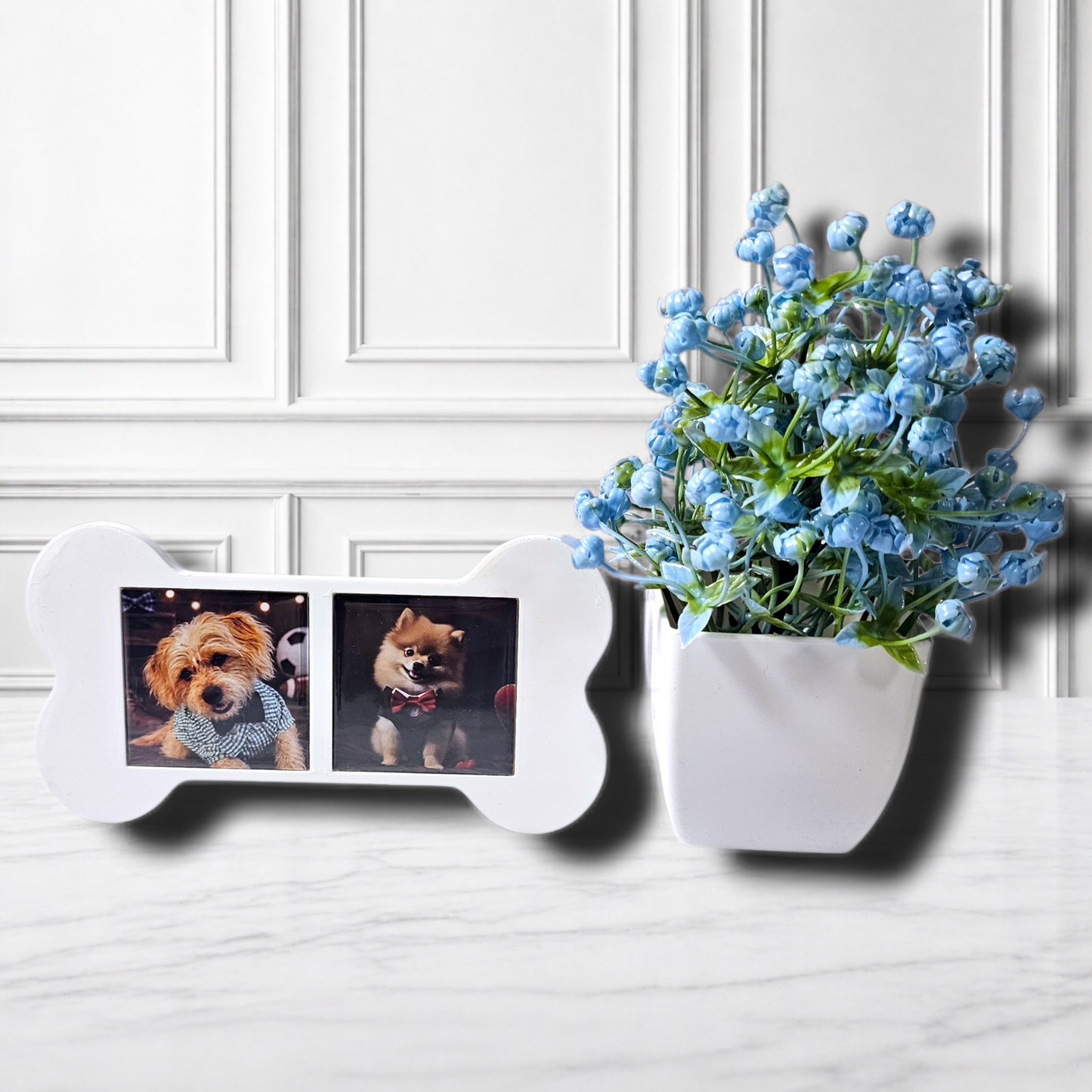 Bone Frame - Square Magnets