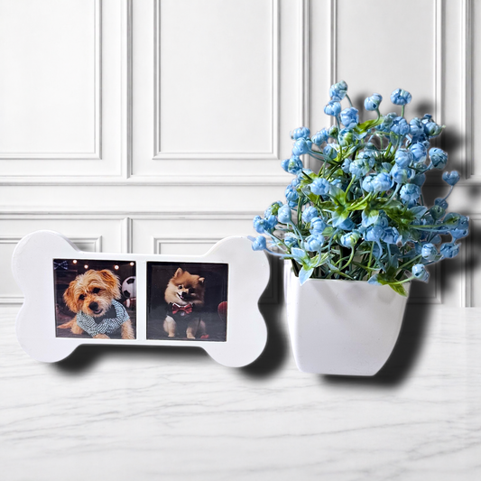 Bone Frame - Square Magnets